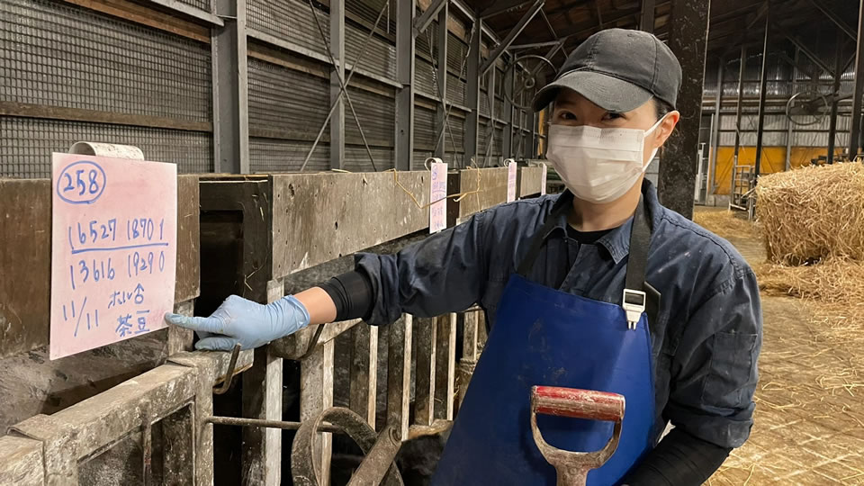 名前が「茶豆」になりました