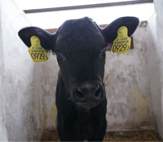 虹の郷の日常風景