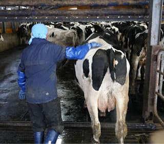 虹の郷の日常風景