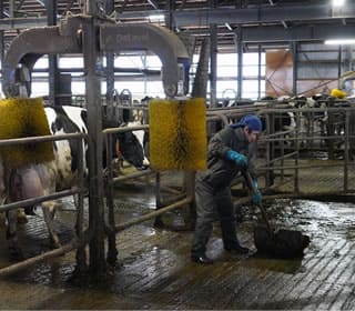 虹の郷の日常風景