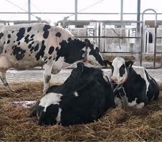 虹の郷の日常風景