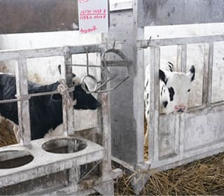 虹の郷の日常風景