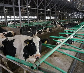 虹の郷の日常風景