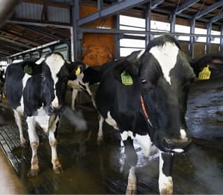 虹の郷の日常風景