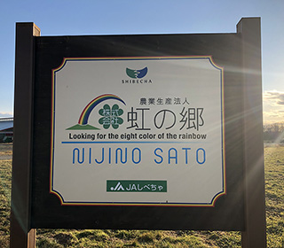 虹の郷の日常風景