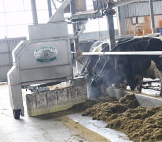 虹の郷の日常風景