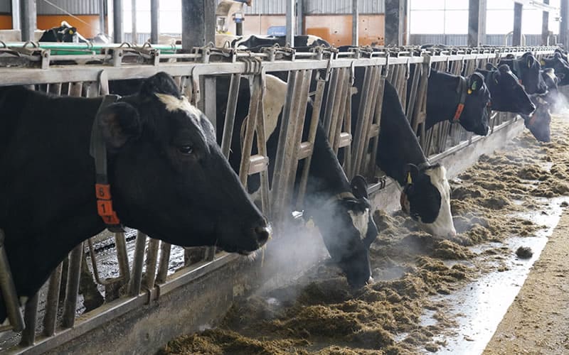 株式会社虹の郷