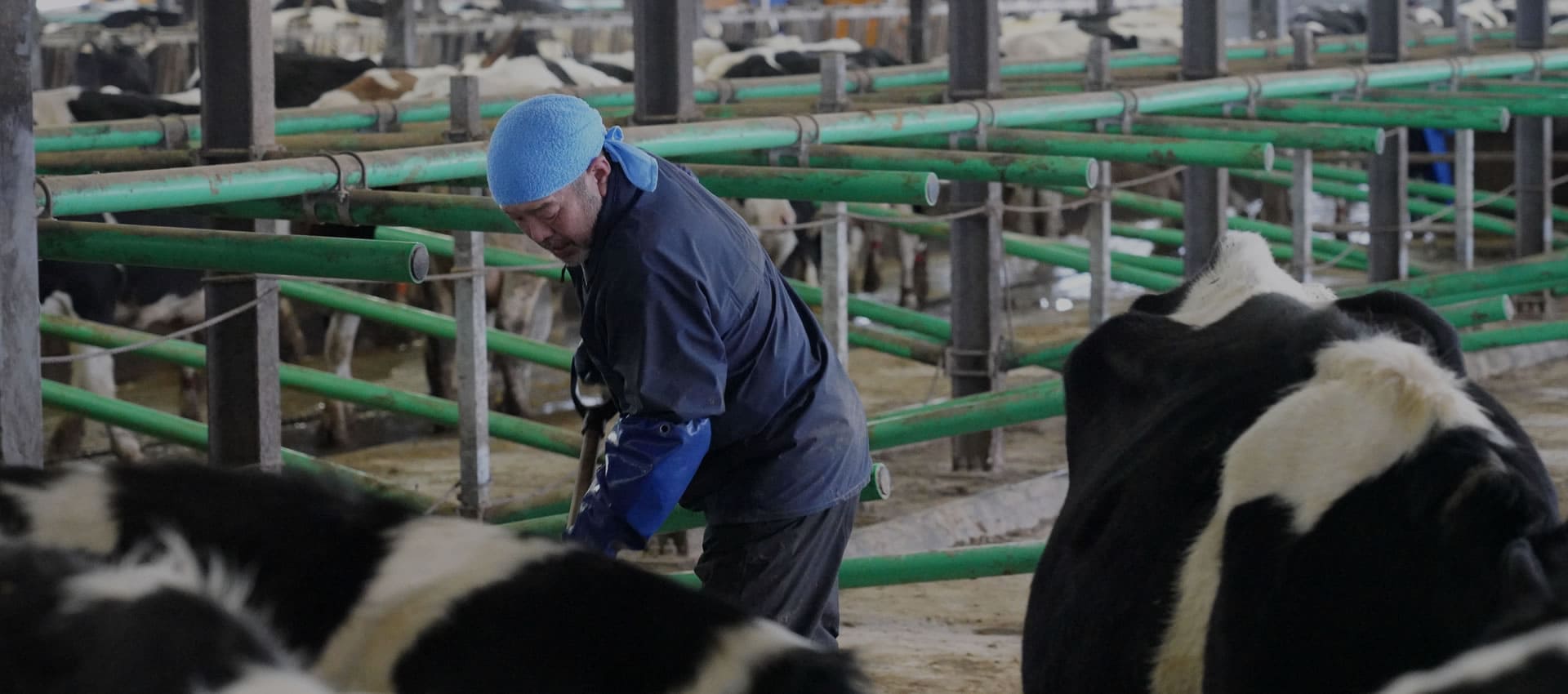 株式会社虹の郷